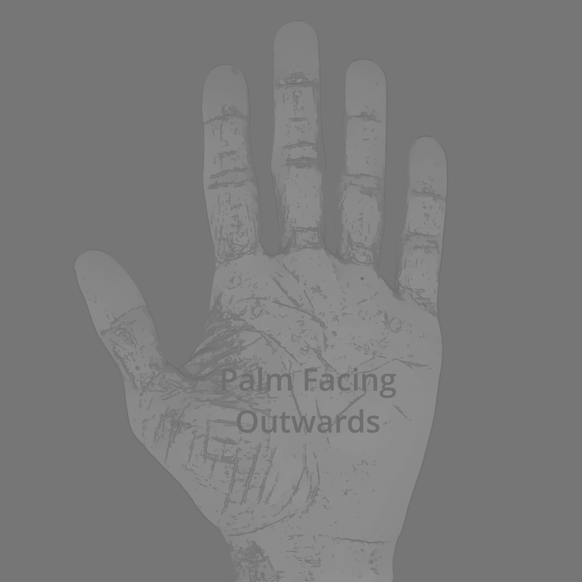 Hand Photo